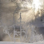 winter_23.jpg